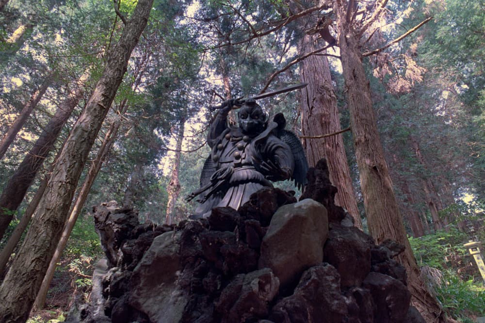 Daiyuzan Saijoji Temple: a hidden gem in the ancient forest of giant cedar trees