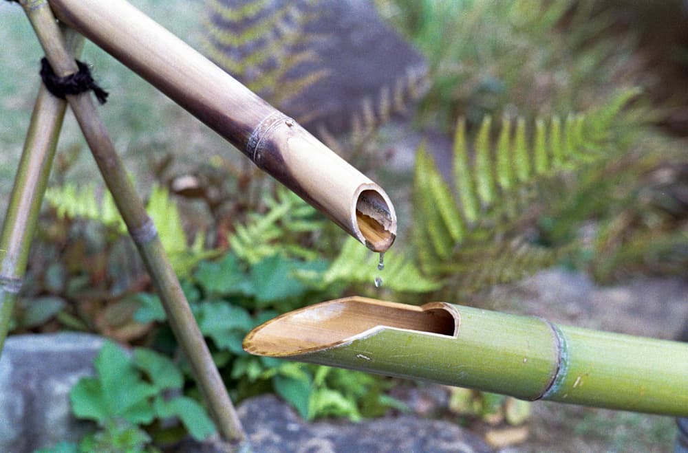 Higo Hosokawa Garden: a calm Japanese-style garden with a samurai history