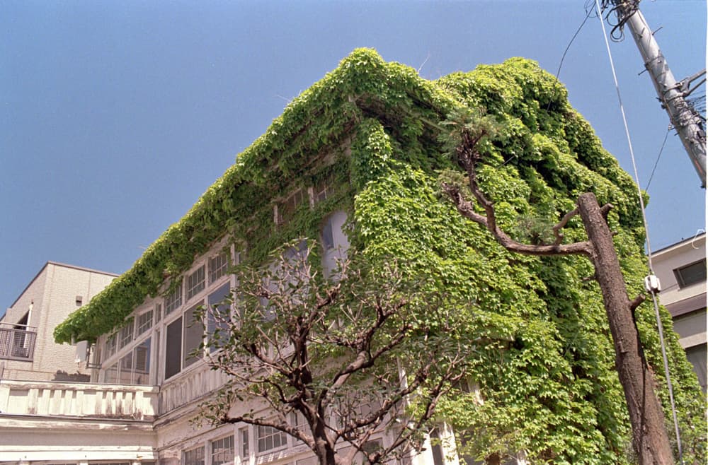 Old colonial-style house has been sitting in Tokyo for almost 140 years