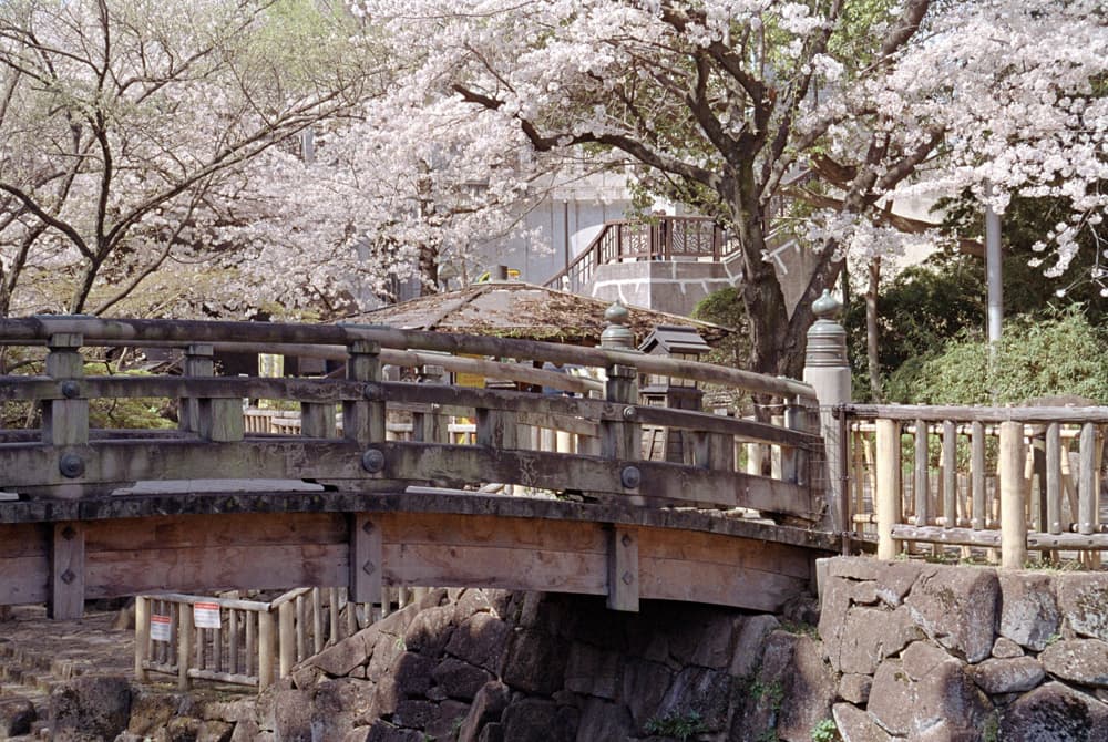 The picturesque Otonashi Shinsui Park