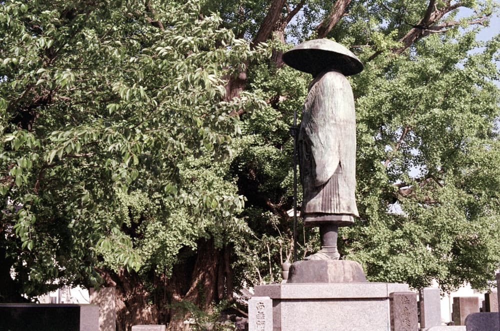 The oldest living thing in Tokyo stands on the grounds of Zenpukuji Temple