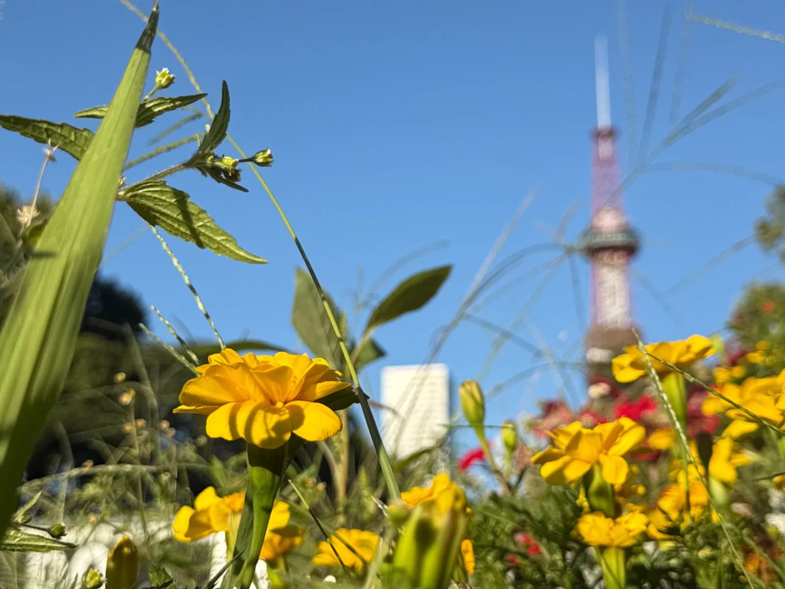 Sapporo | 札幌 photo 13