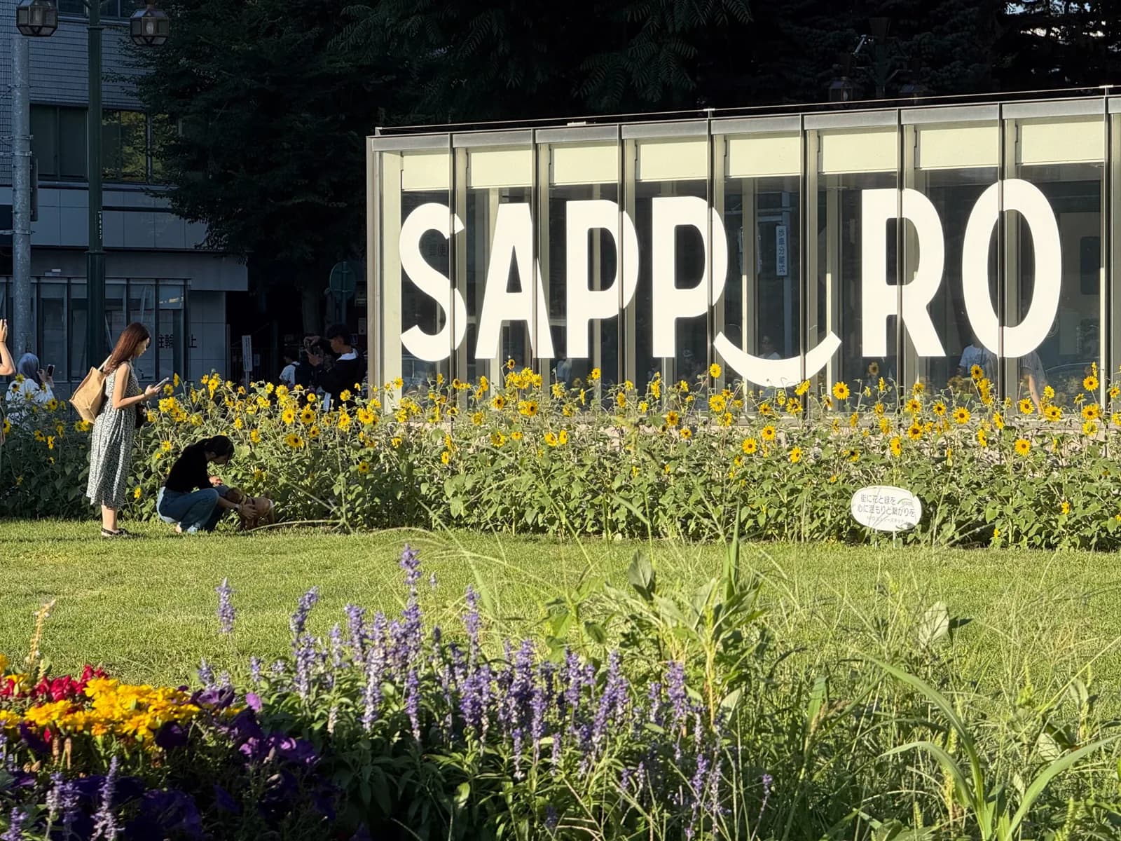 Sapporo | 札幌 photo 8