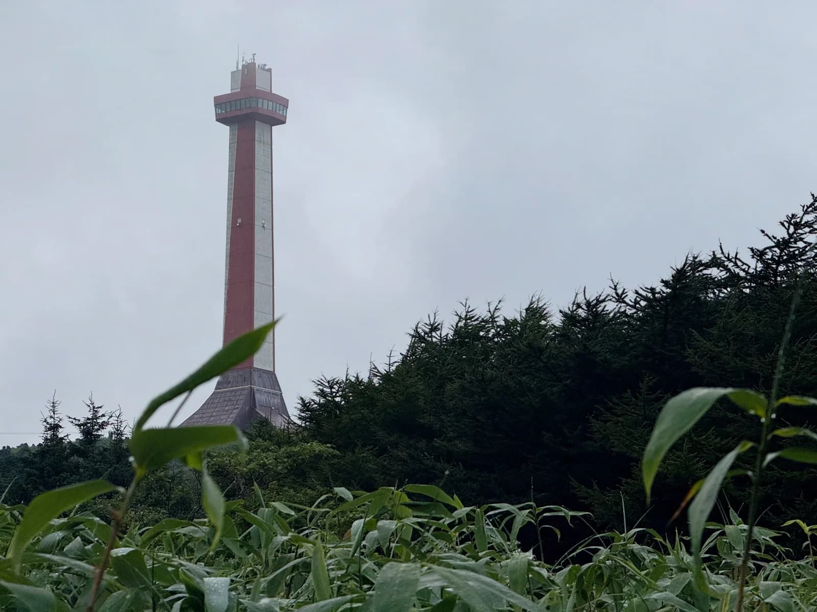 Wakkanai | 稚内 photo 42