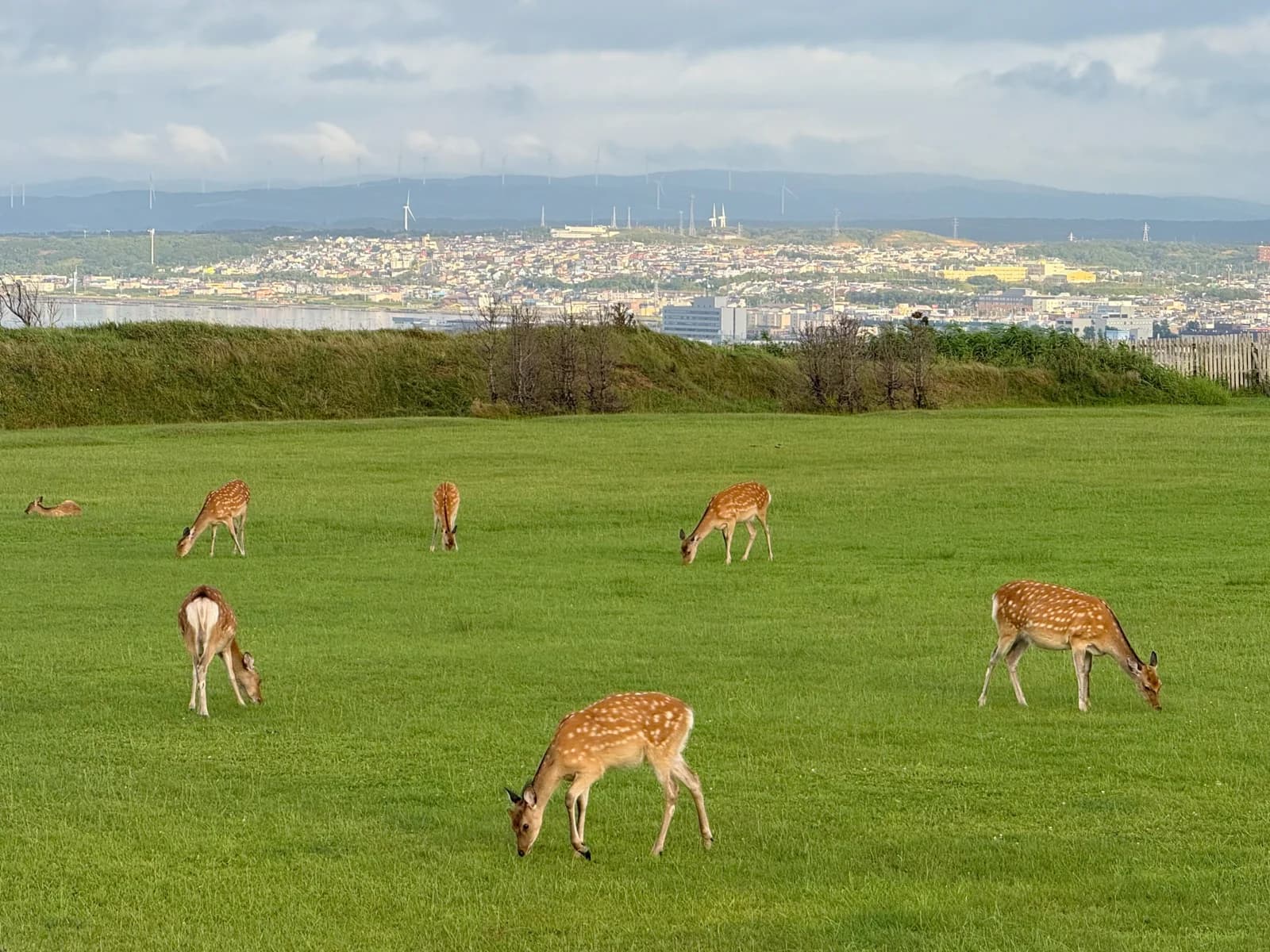 Wakkanai | 稚内 photo 26
