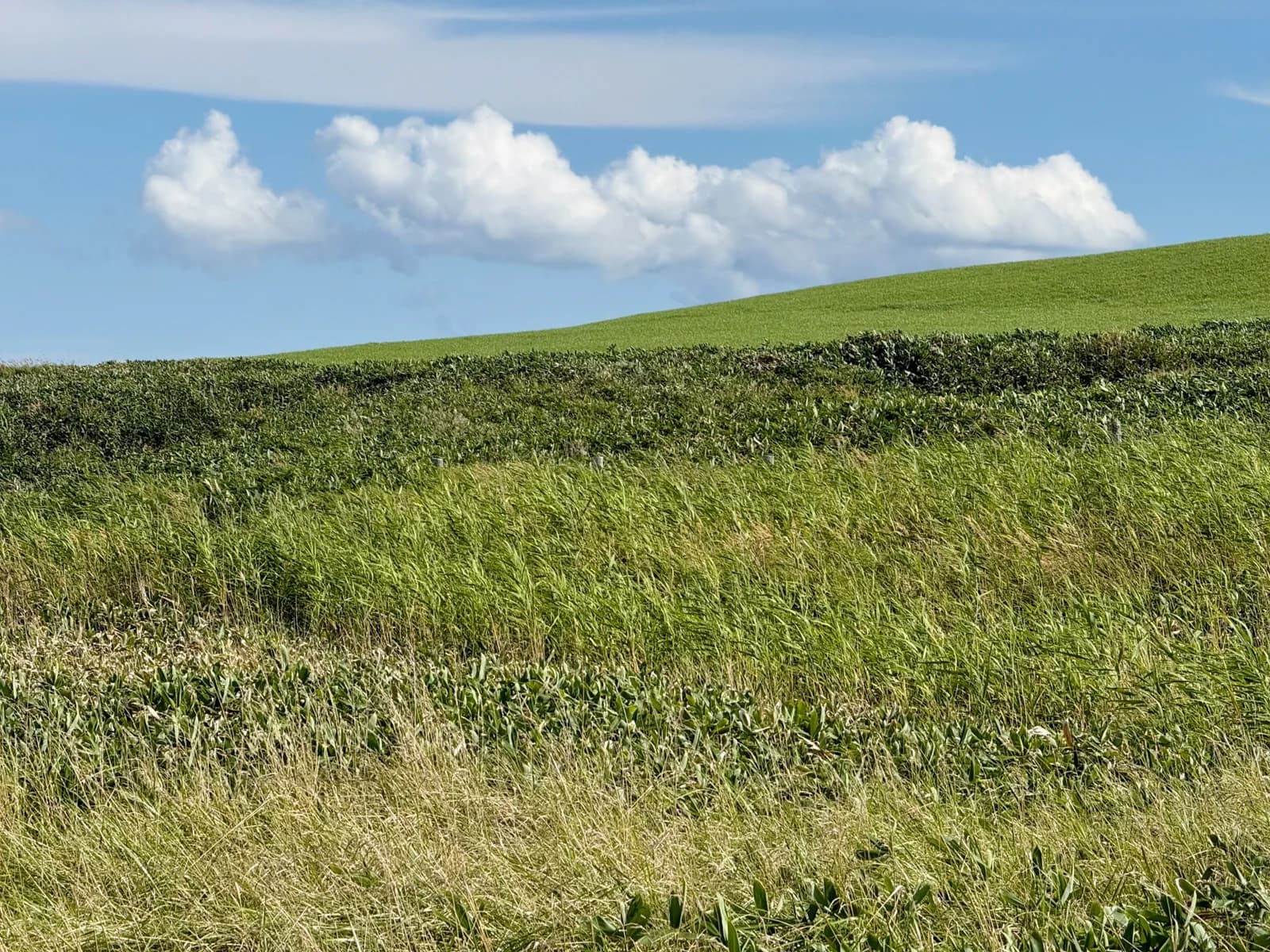 Cape Soya | 宗谷岬 photo 15