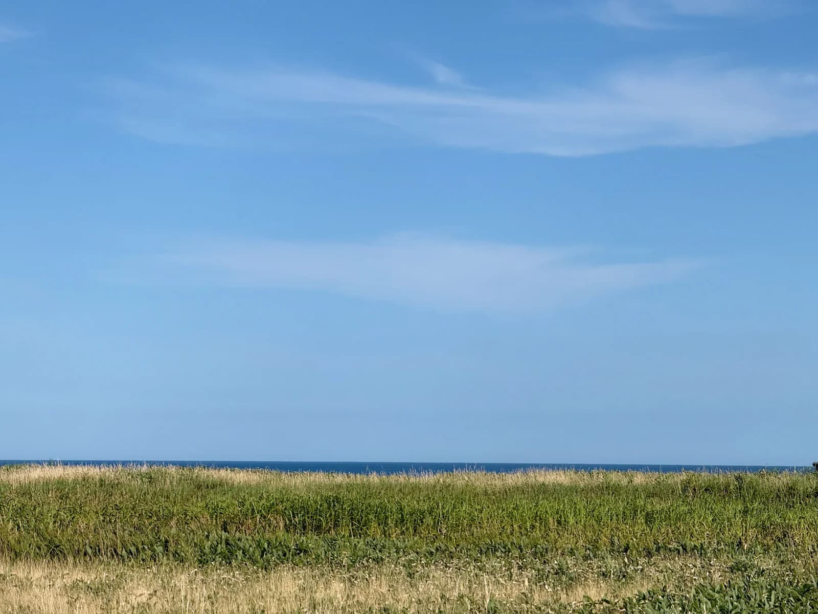 Cape Soya | 宗谷岬 photo 13