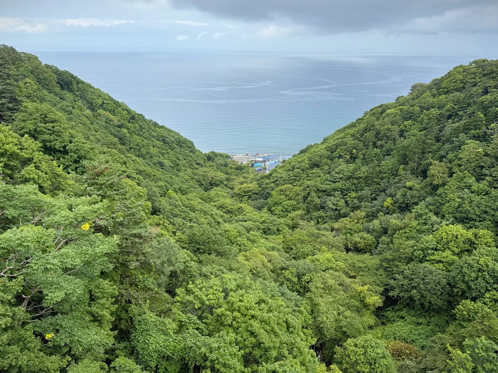 Rishiri Island | 利尻島 photo 124