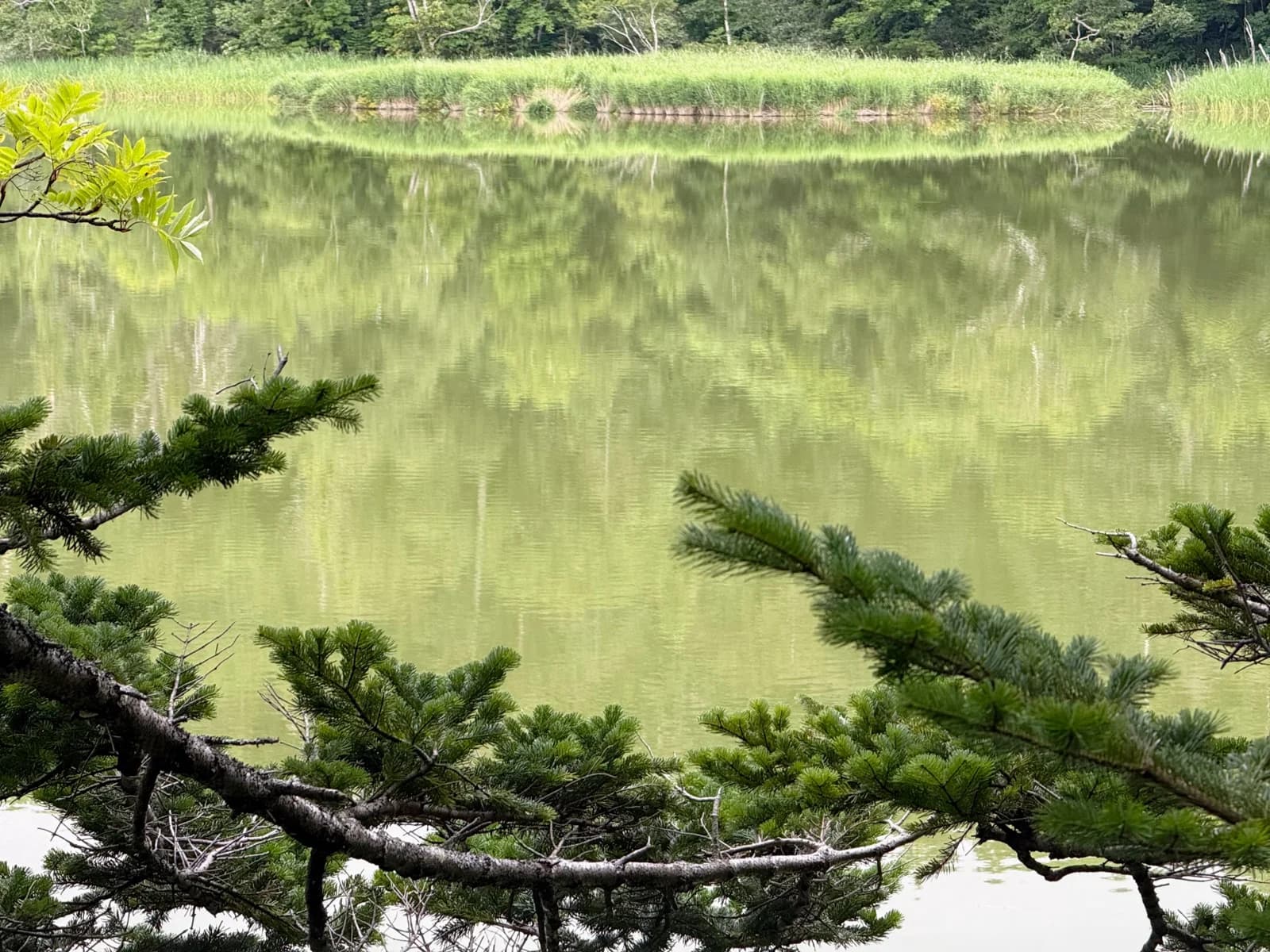 Rishiri Island | 利尻島 photo 121