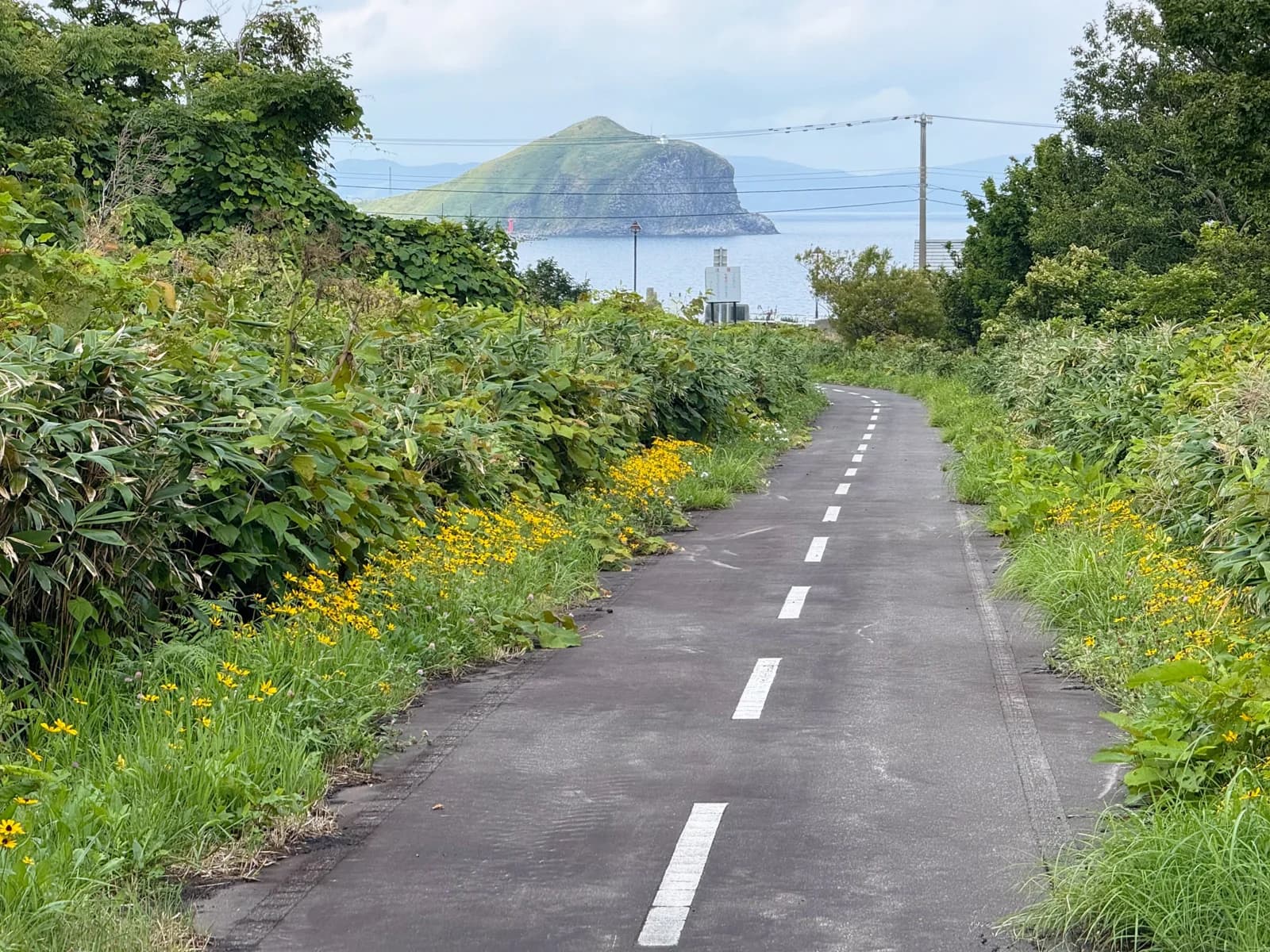 Rishiri Island | 利尻島 photo 120