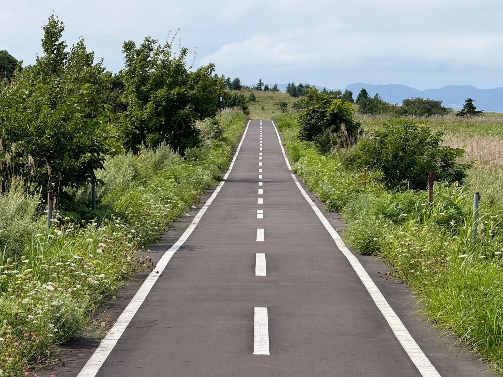 Rishiri Island | 利尻島 photo 119