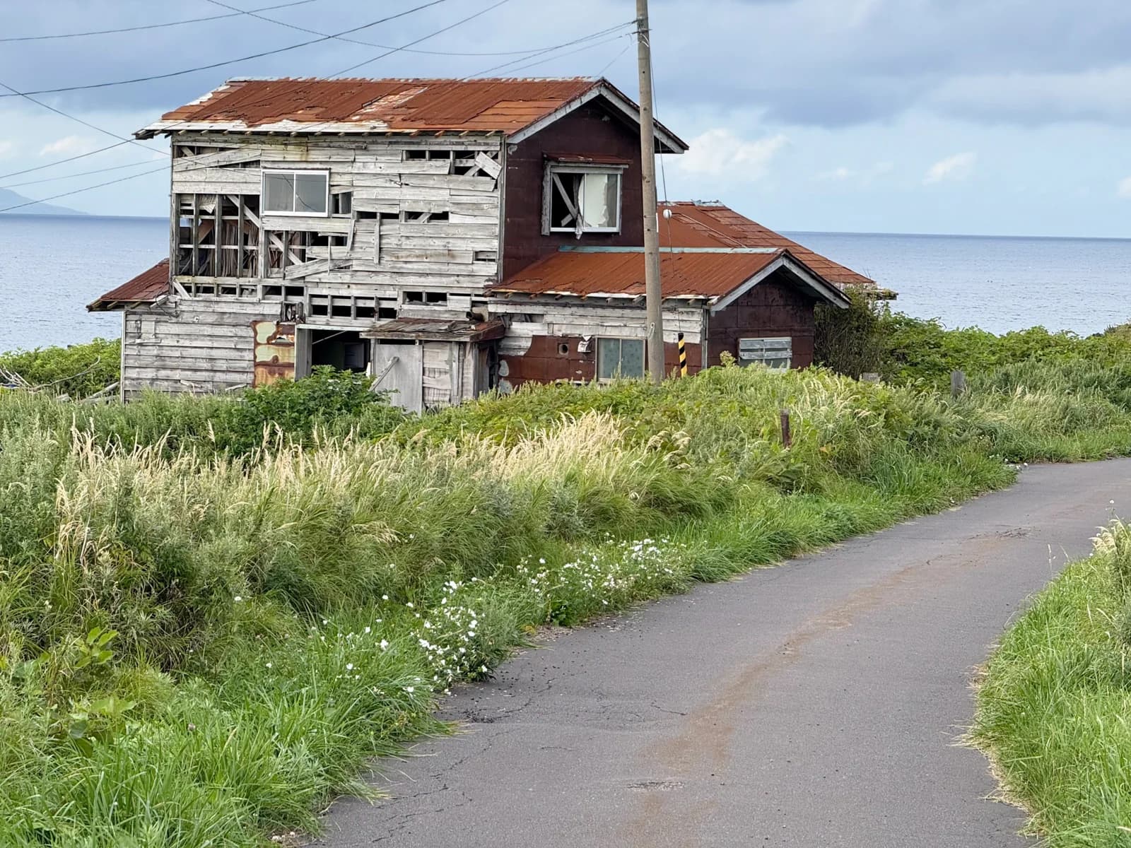Rishiri Island | 利尻島 photo 110
