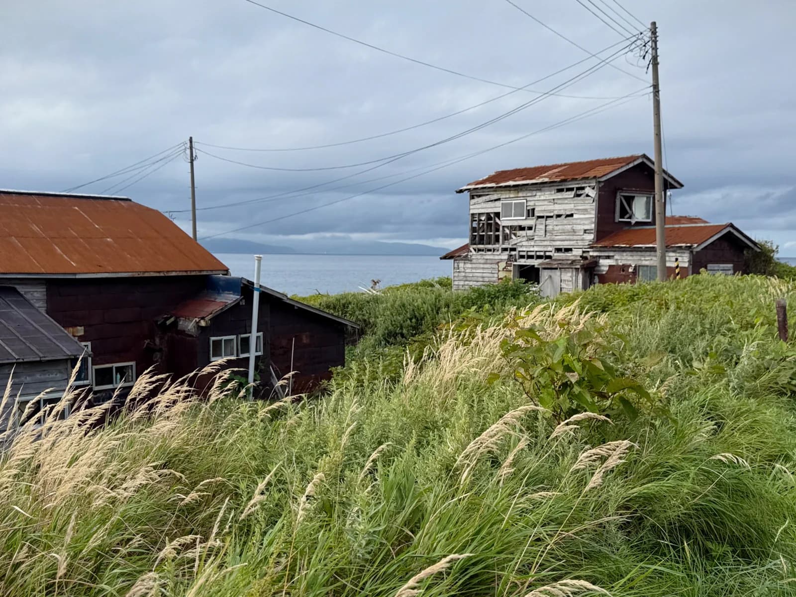 Rishiri Island | 利尻島 photo 109