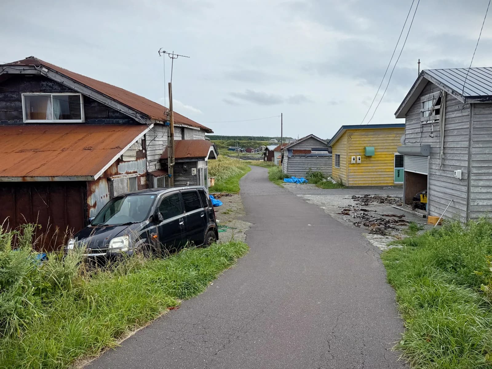 Rishiri Island | 利尻島 photo 107