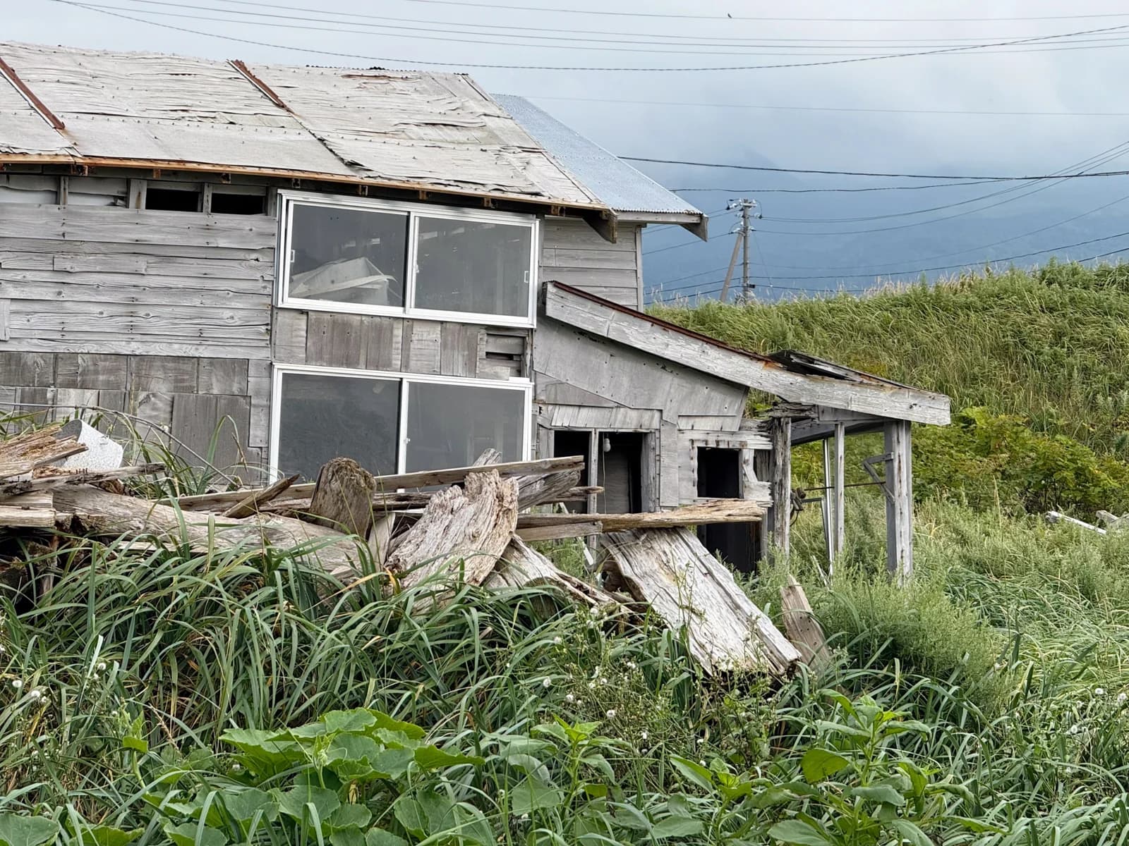 Rishiri Island | 利尻島 photo 102