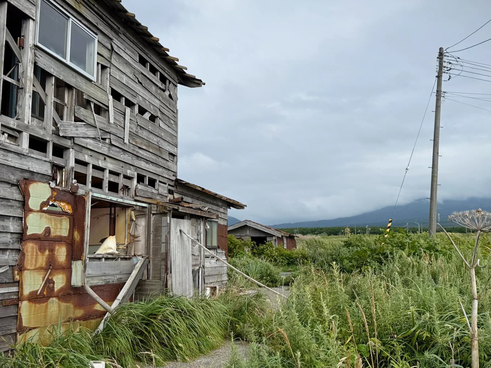 Rishiri Island | 利尻島 photo 100