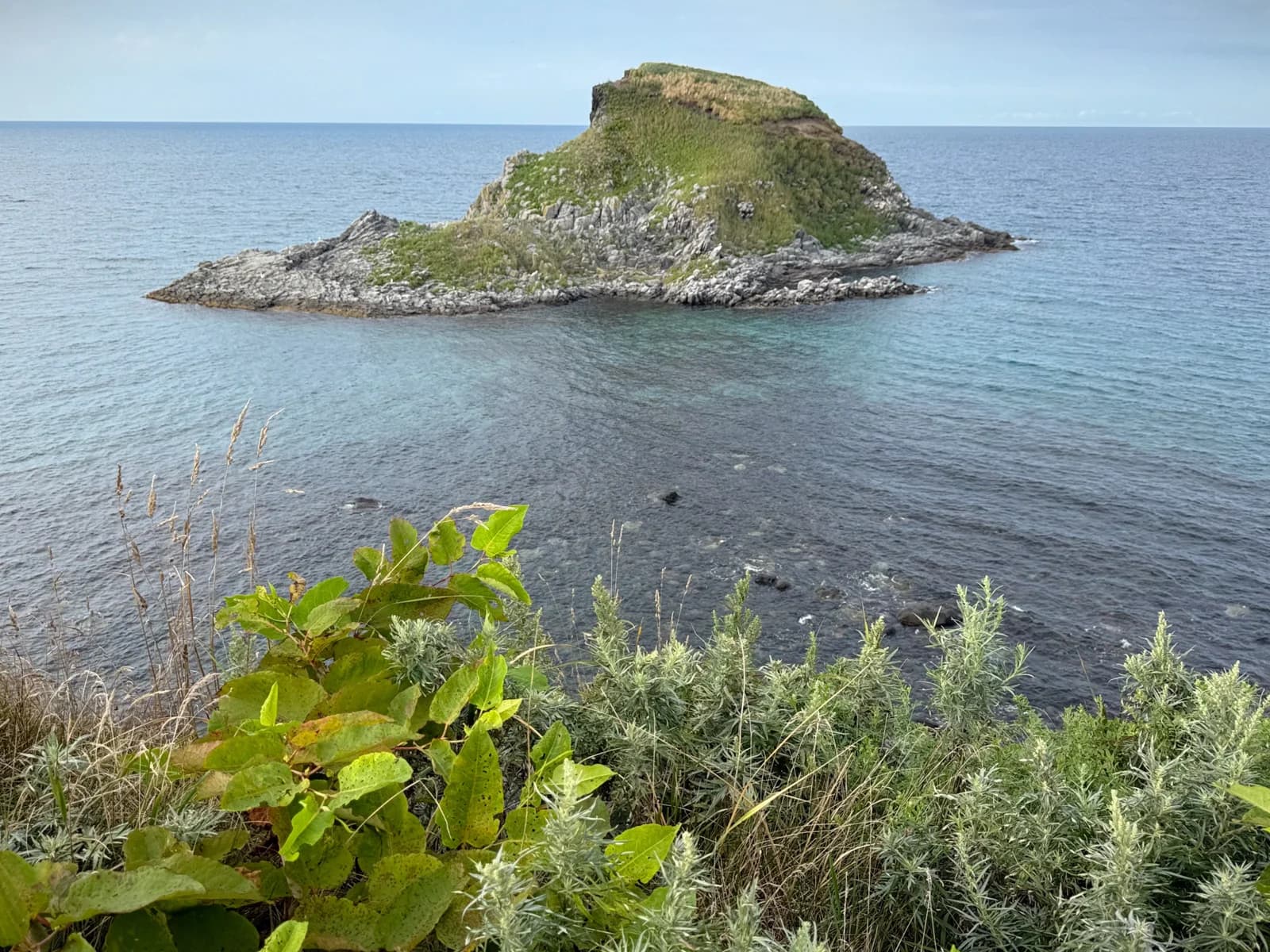 Rishiri Island | 利尻島 photo 91