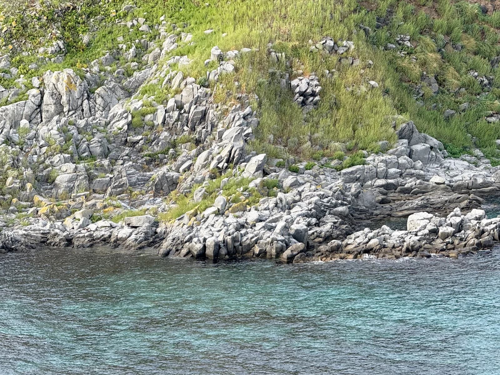 Rishiri Island | 利尻島 photo 90