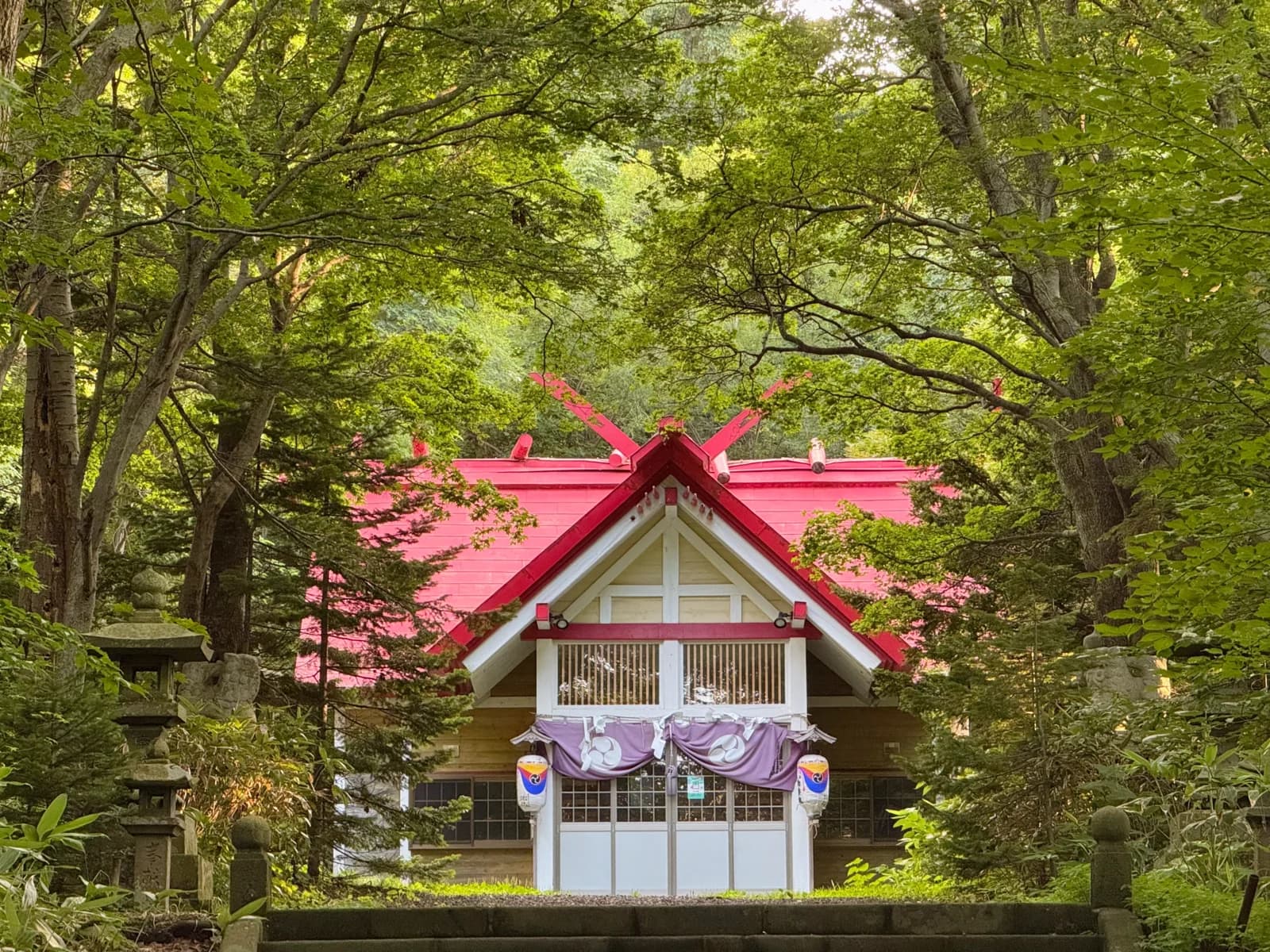 Rishiri Island | 利尻島 photo 86