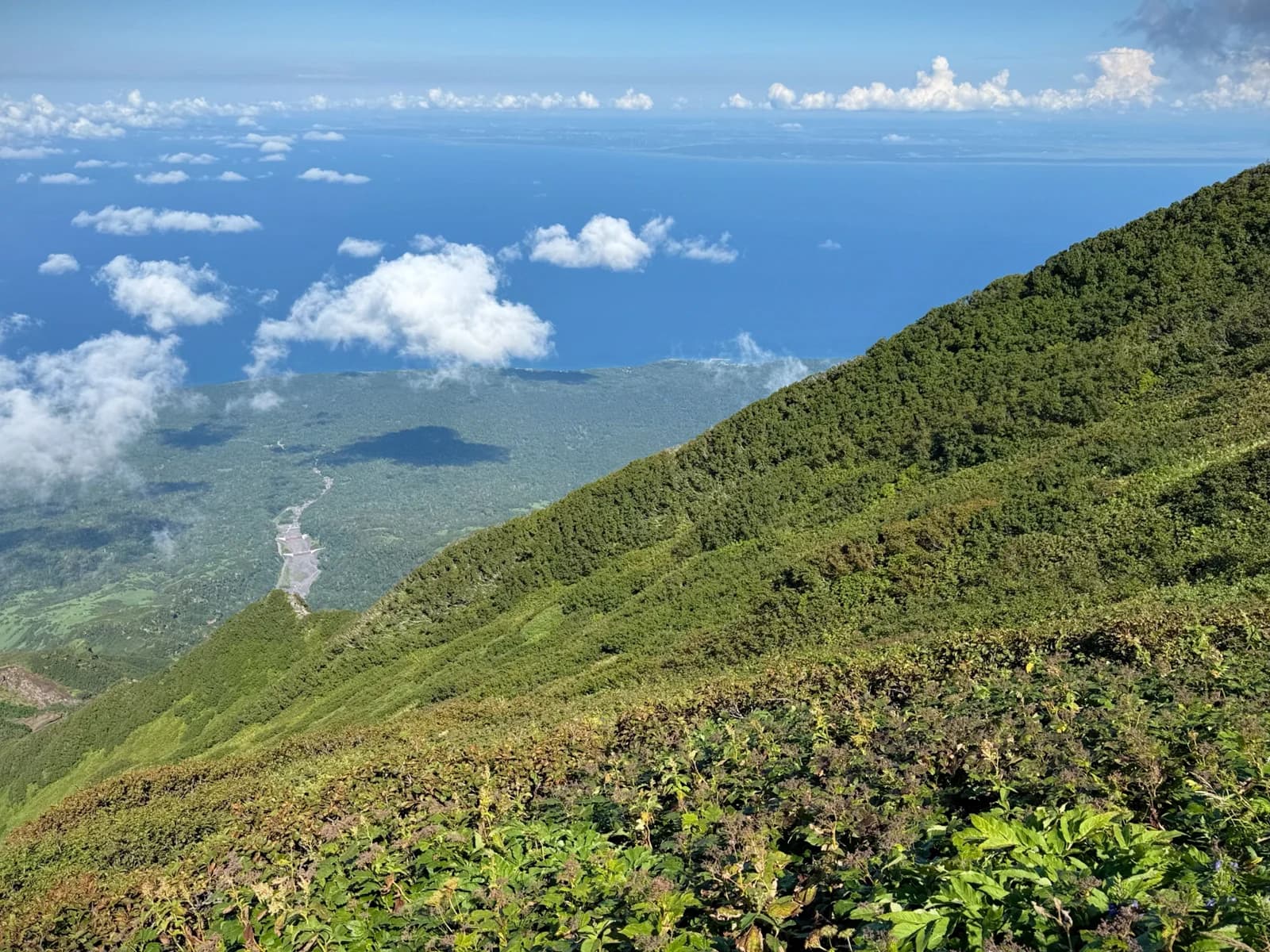 Rishiri Island | 利尻島 photo 76