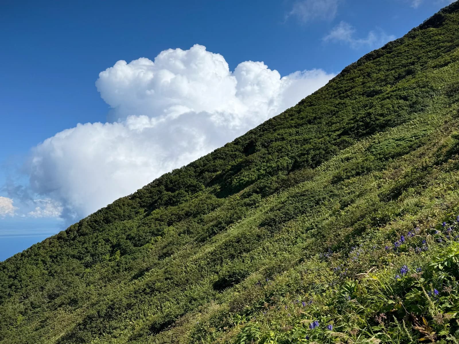 Rishiri Island | 利尻島 photo 75