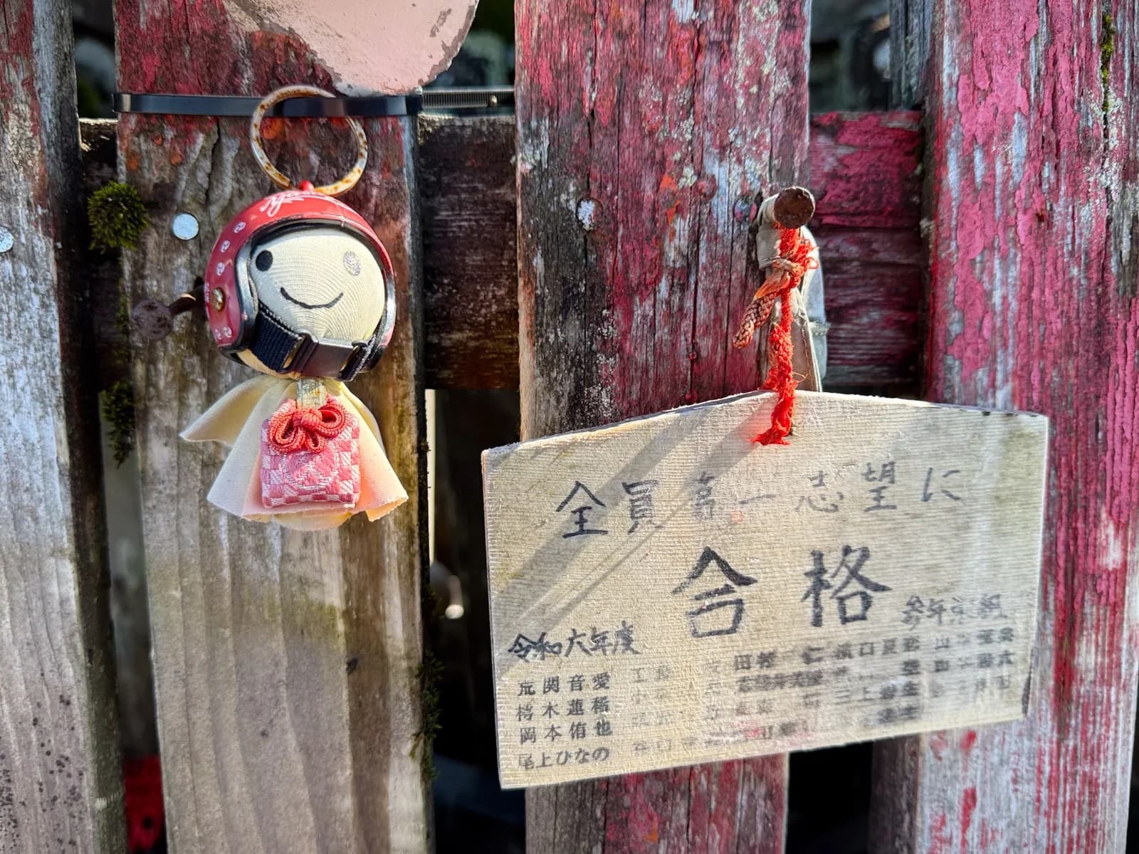 Rishiri Island | 利尻島 photo 59
