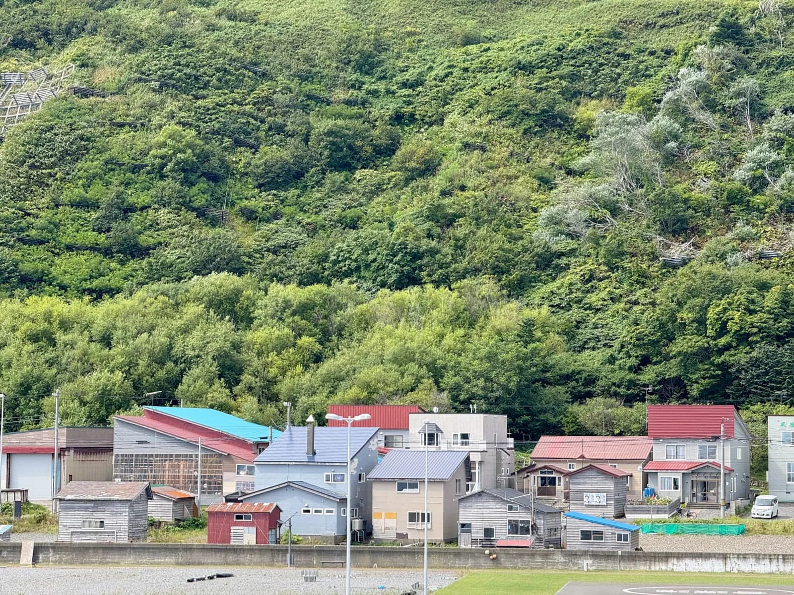 Rebun Island | 礼文島 photo 38