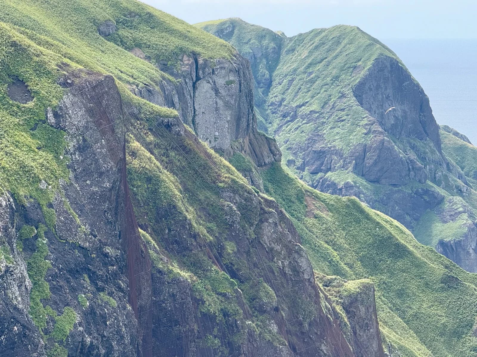 Rebun Island | 礼文島 photo 29
