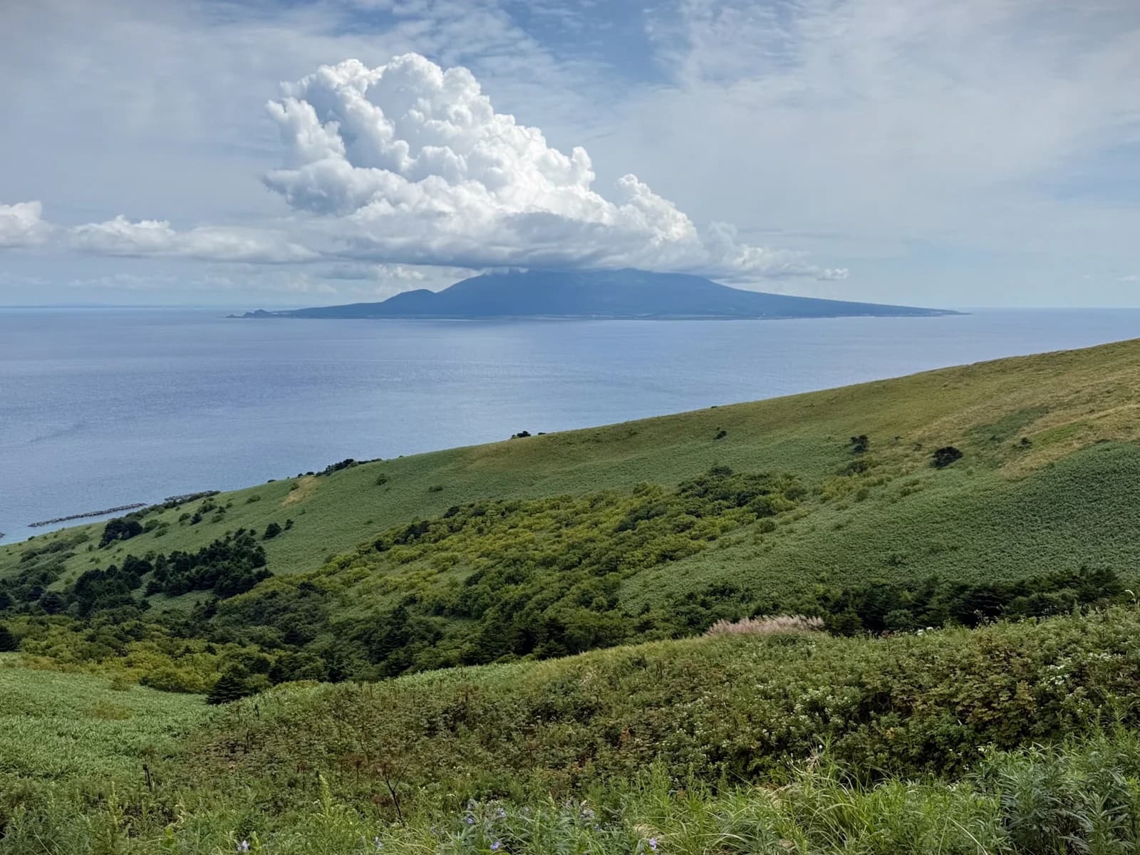 Rebun Island | 礼文島 photo 26