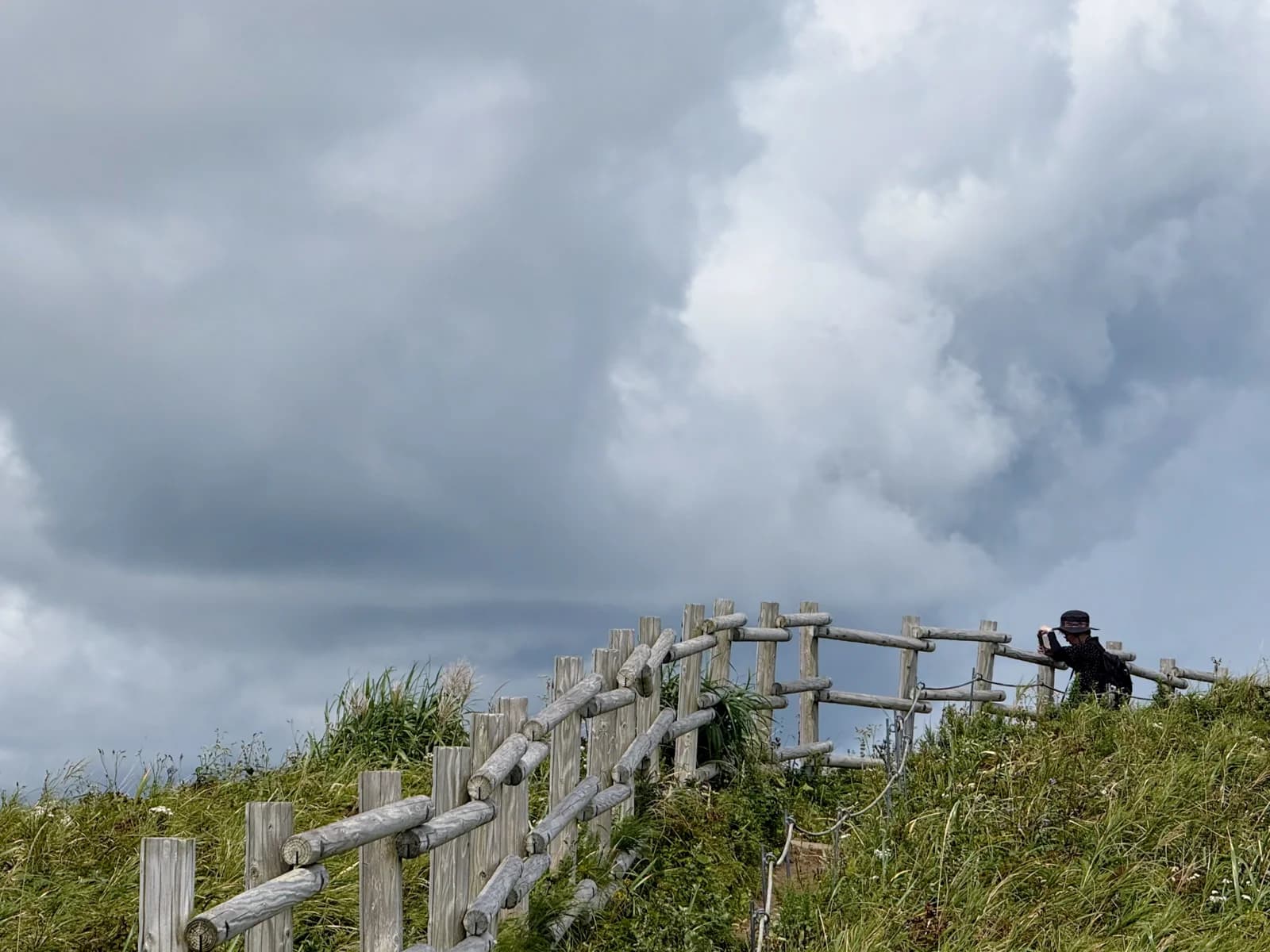 Rebun Island | 礼文島 photo 22