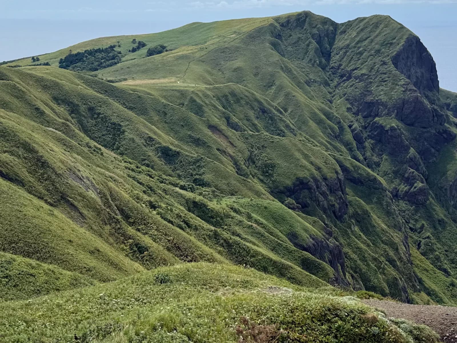 Rebun Island | 礼文島 photo 20