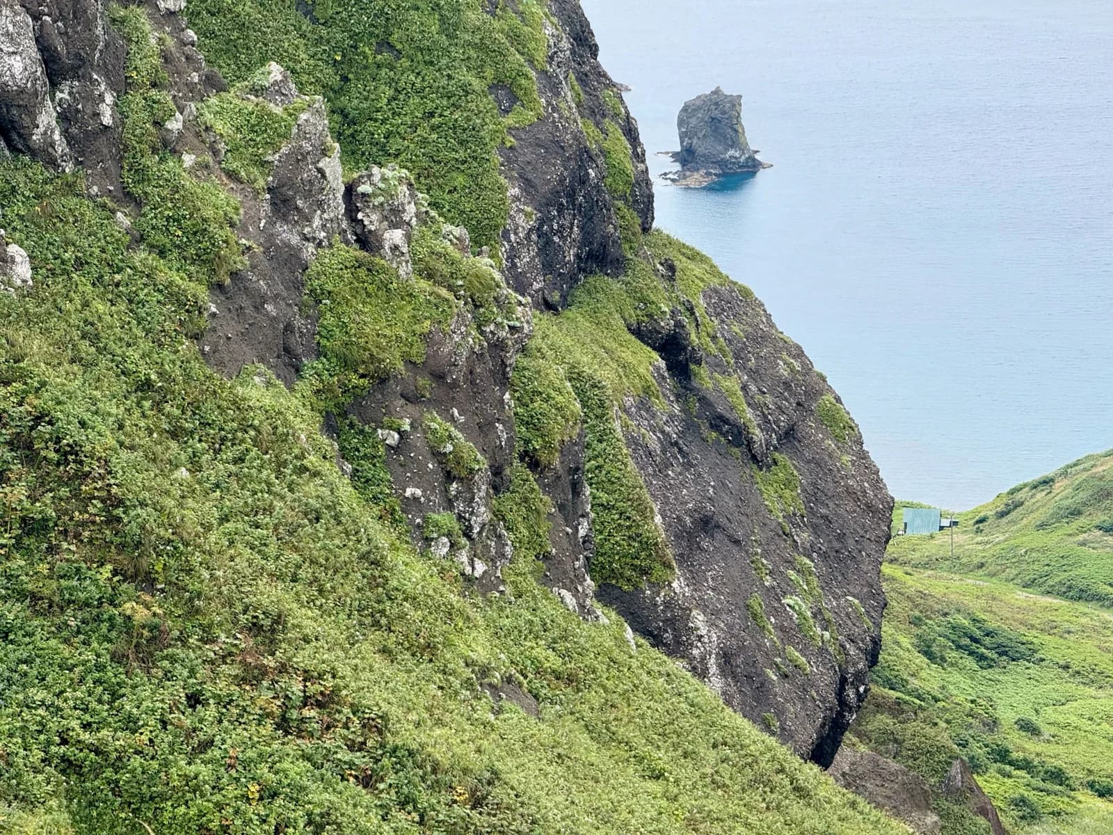 Rebun Island | 礼文島 photo 17