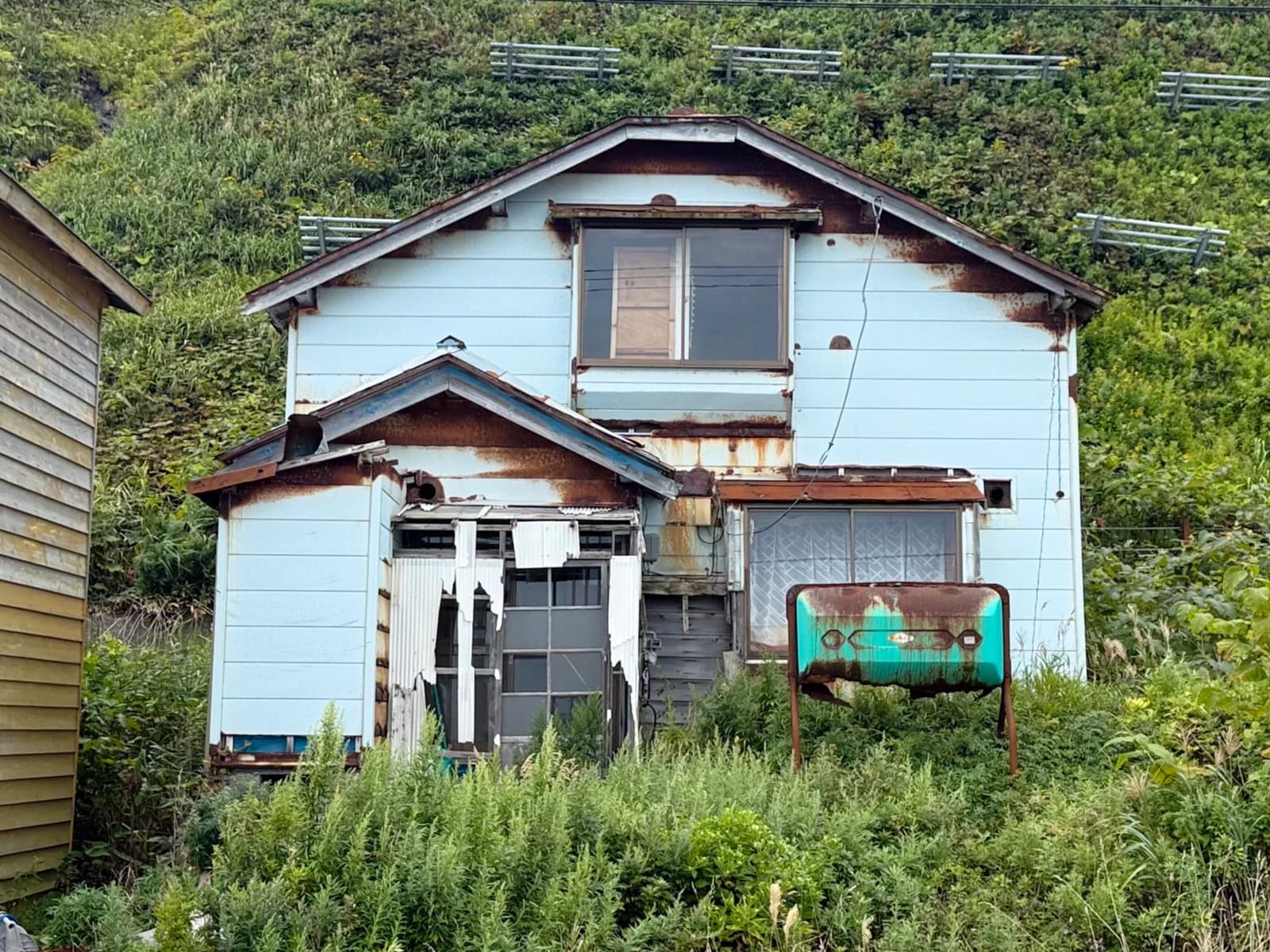 Rebun Island | 礼文島 photo 12