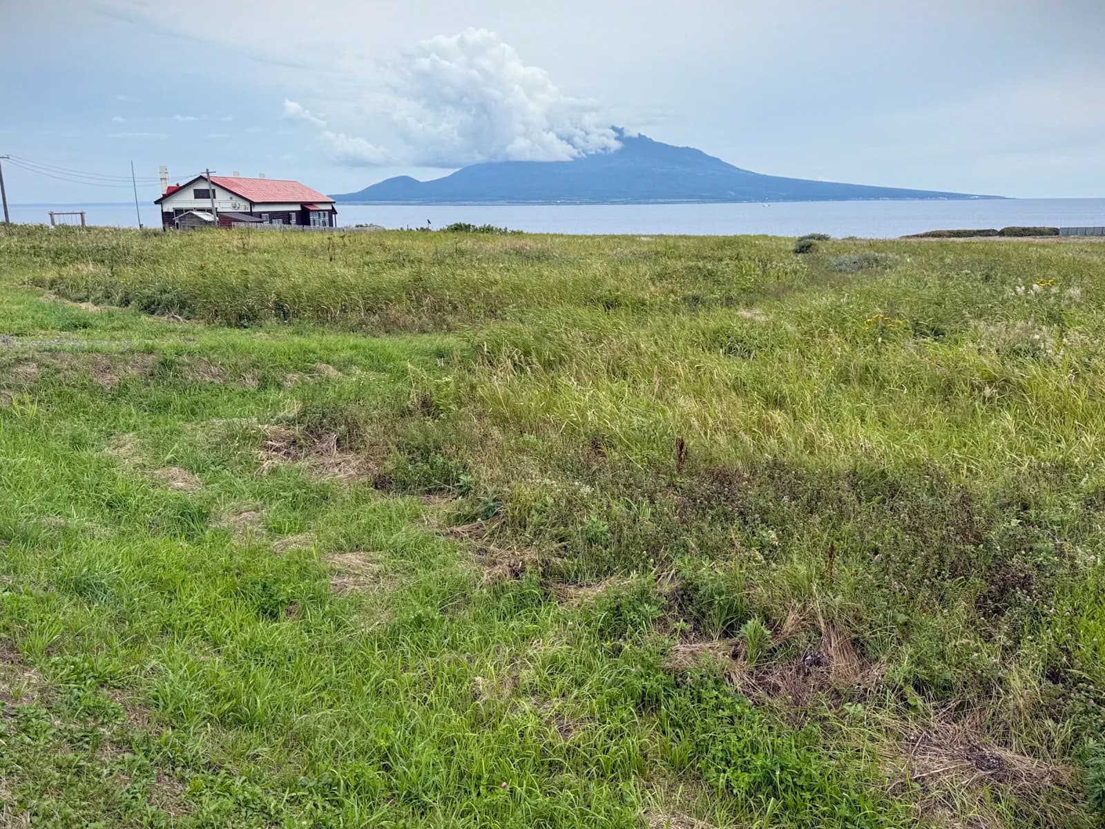 Rebun Island | 礼文島 photo 5