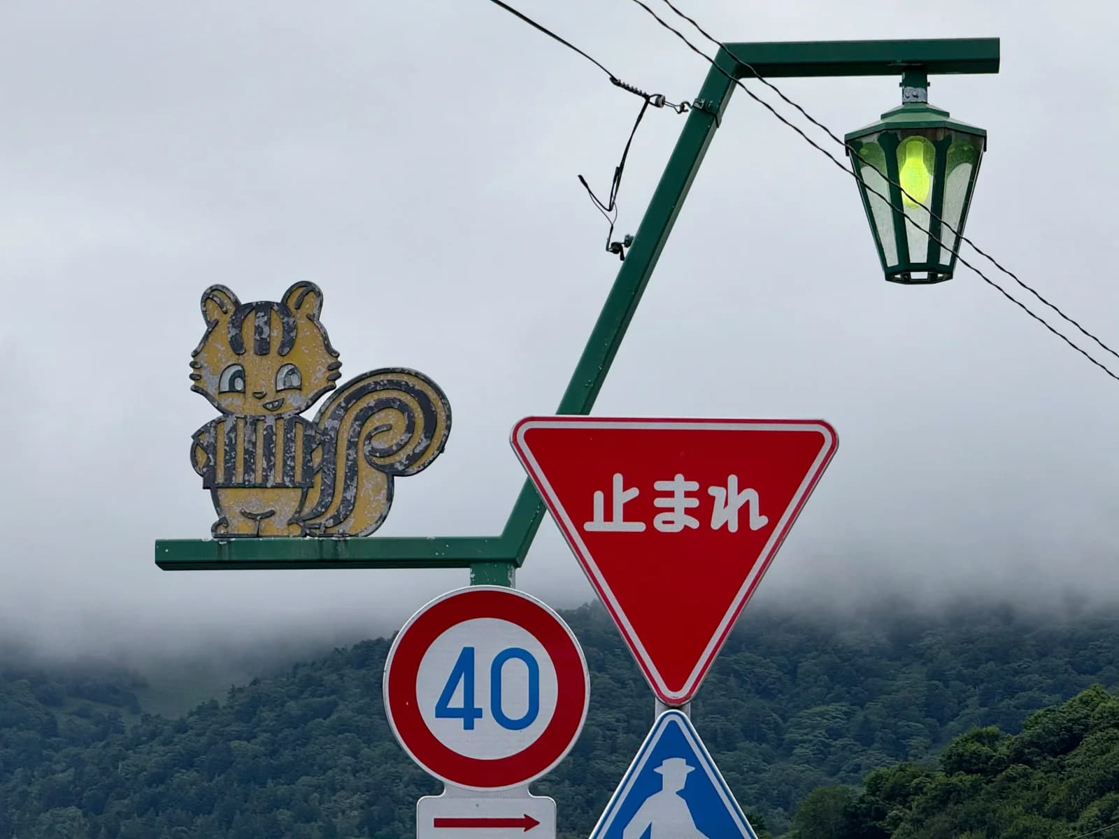 Rishiri Island | 利尻島 photo 30
