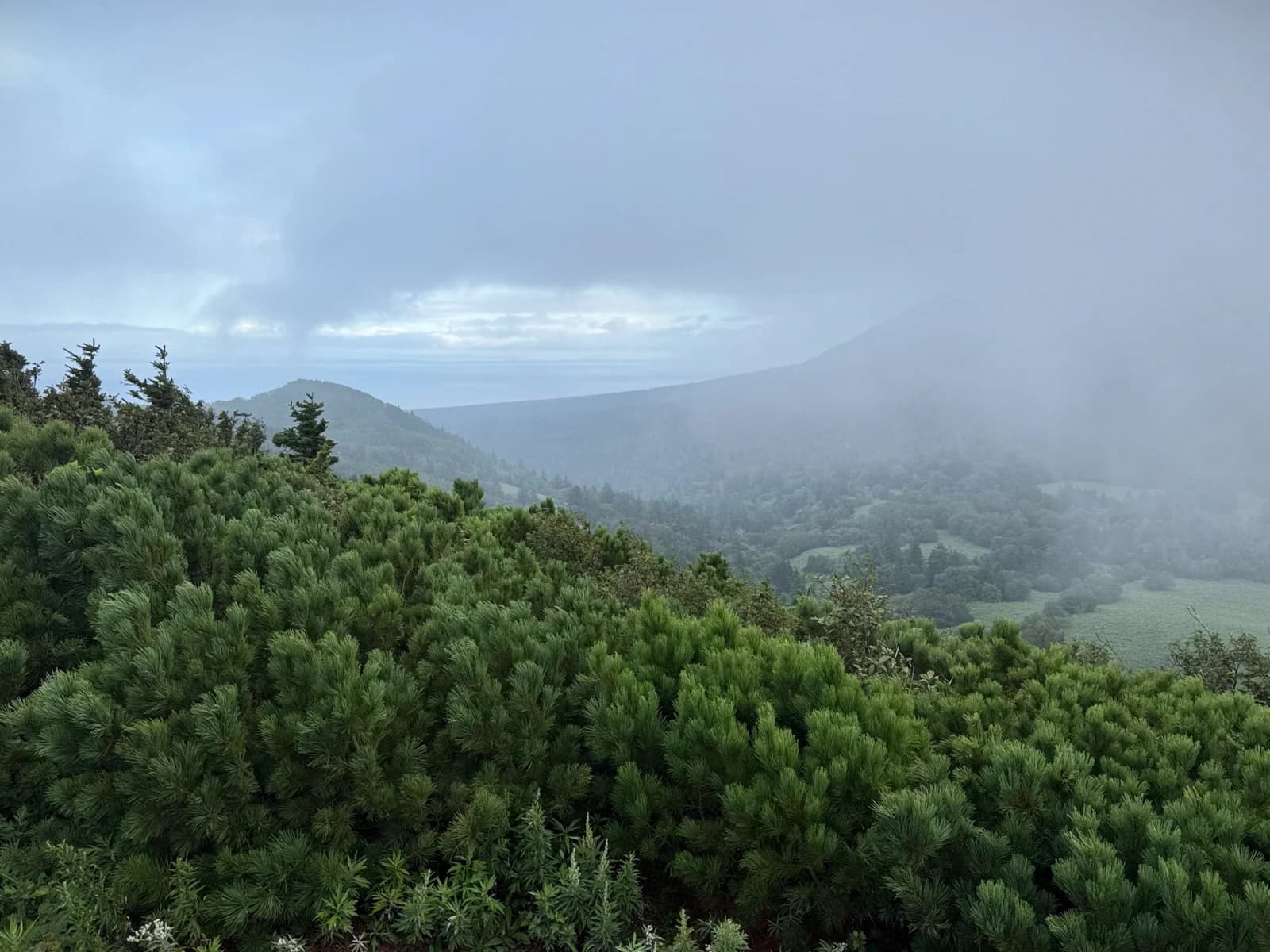 Rishiri Island | 利尻島 photo 17