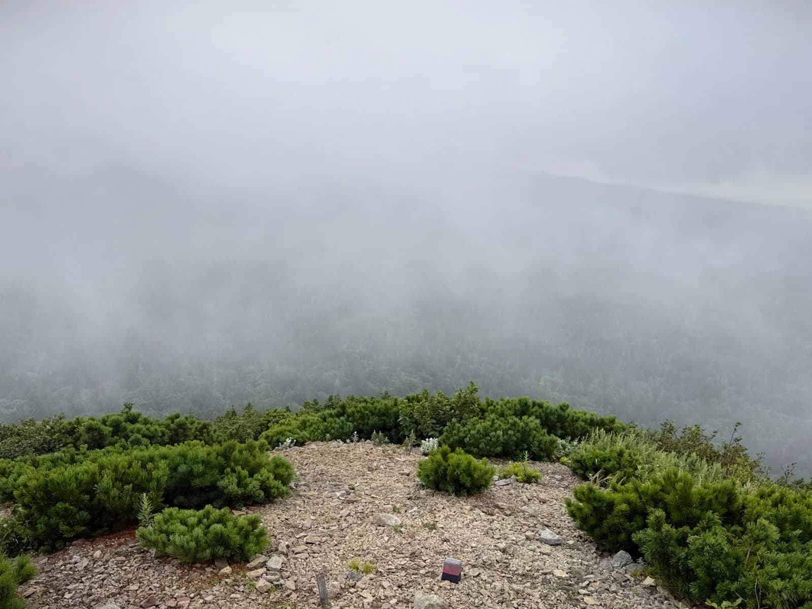 Rishiri Island | 利尻島 photo 16