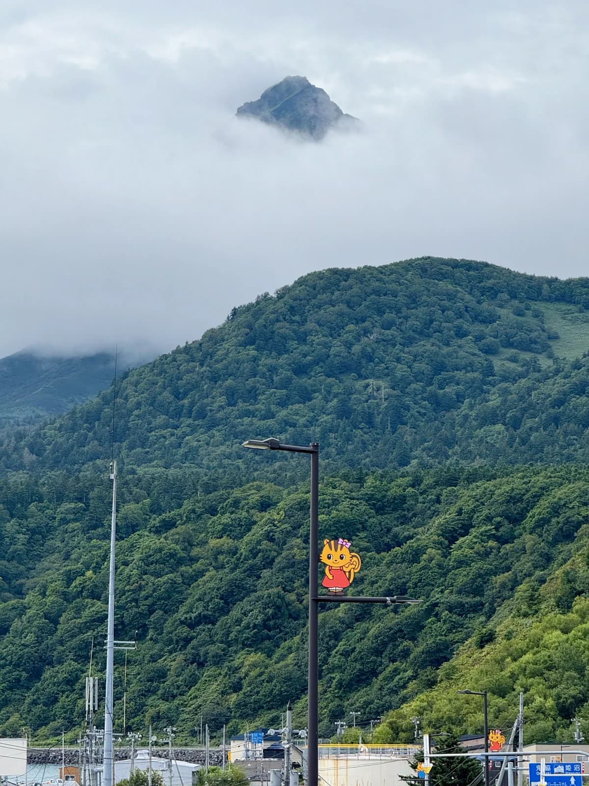 Rishiri Island | 利尻島 photo 6