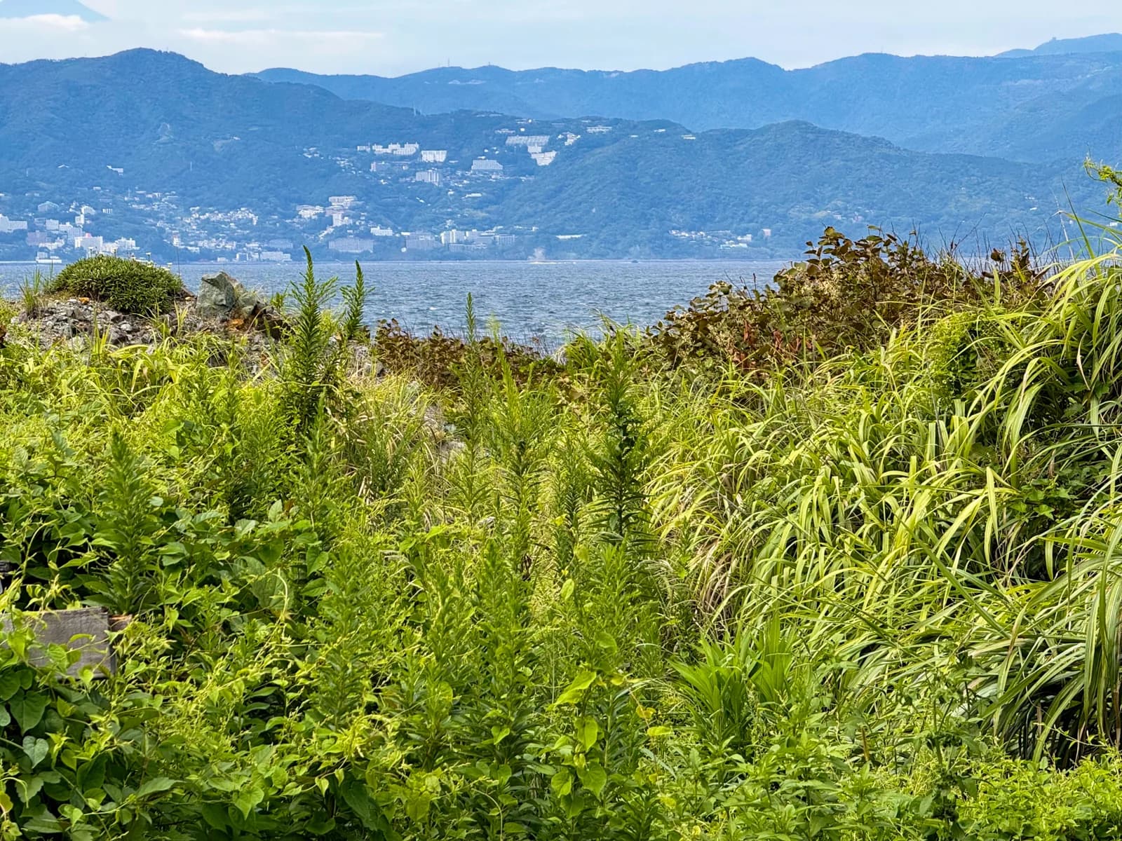 Hatsushima | 初島 photo 33