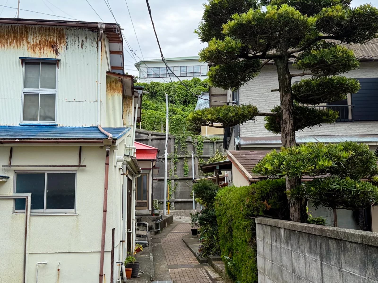 Hatsushima | 初島 photo 27
