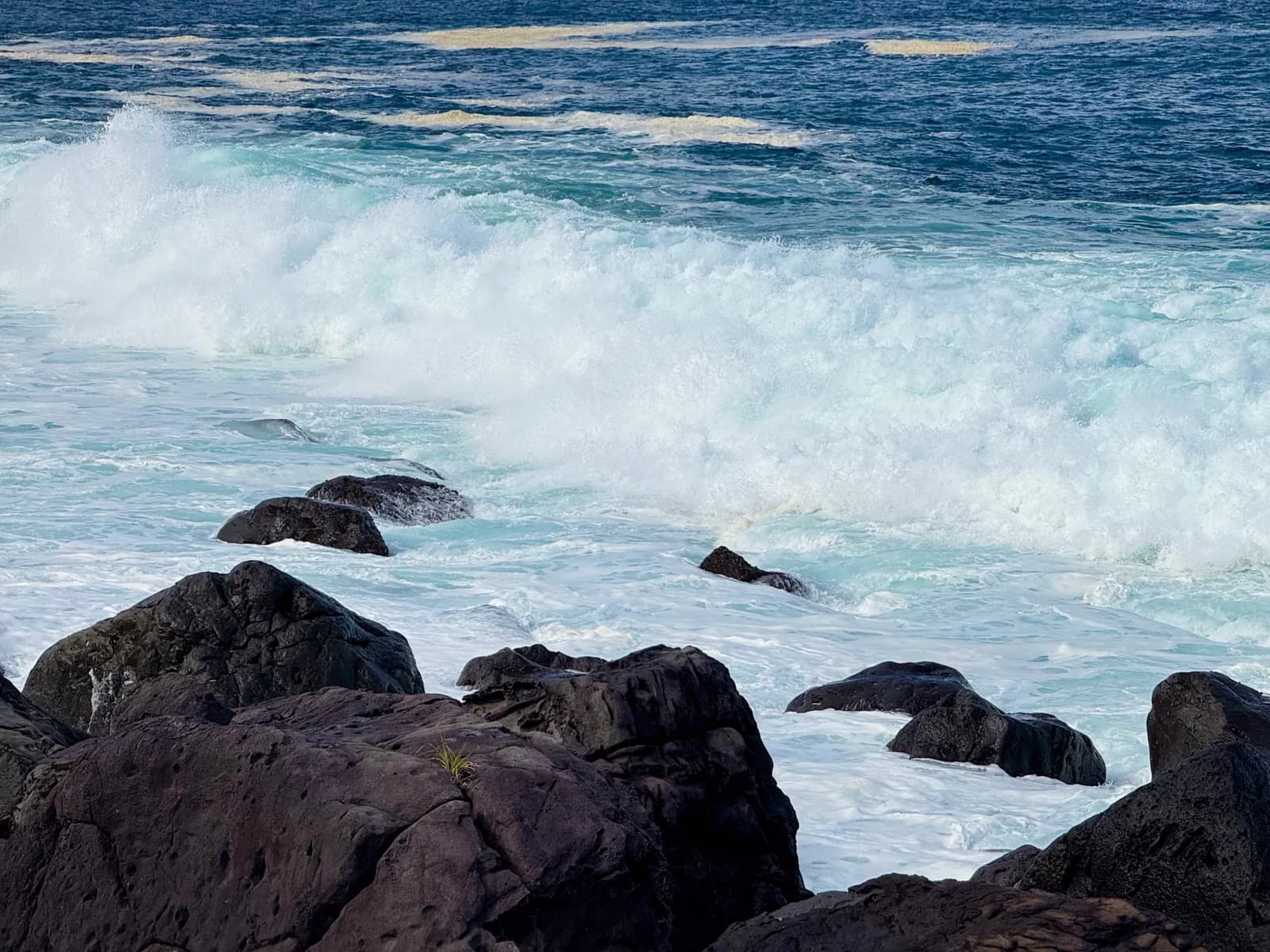Hatsushima | 初島 photo 44