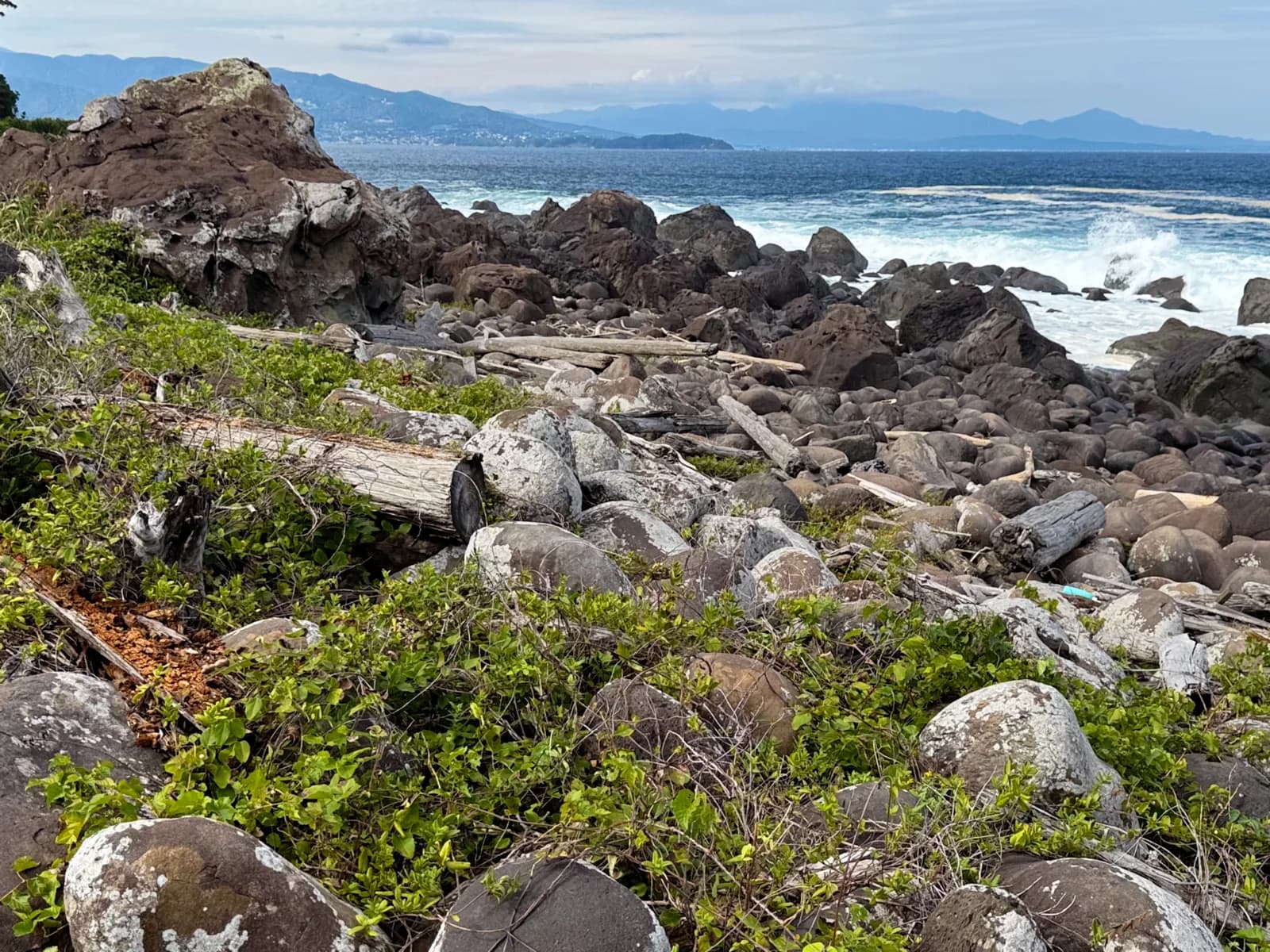 Hatsushima | 初島 photo 52