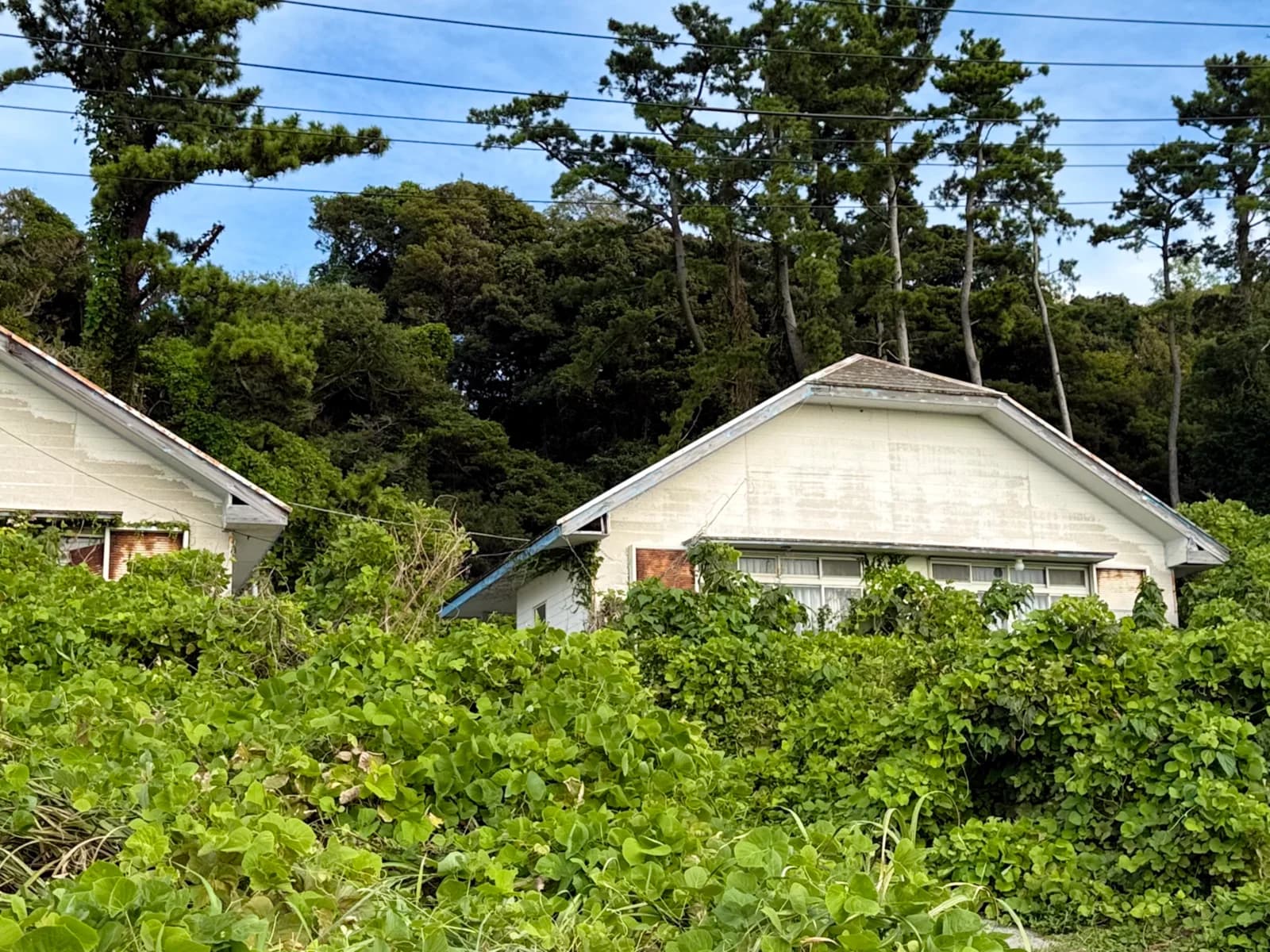 Hatsushima | 初島 photo 61