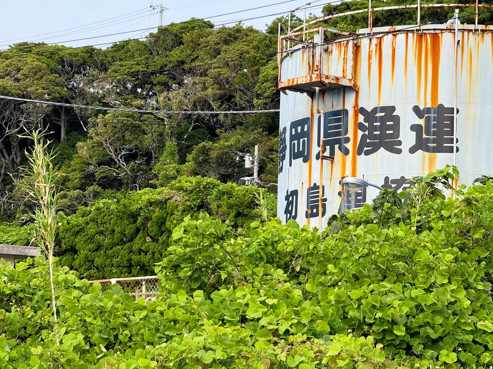 Hatsushima | 初島 photo 62