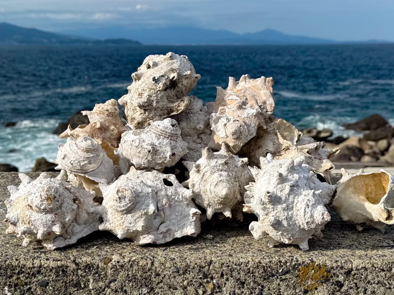 Hatsushima | 初島 photo 60