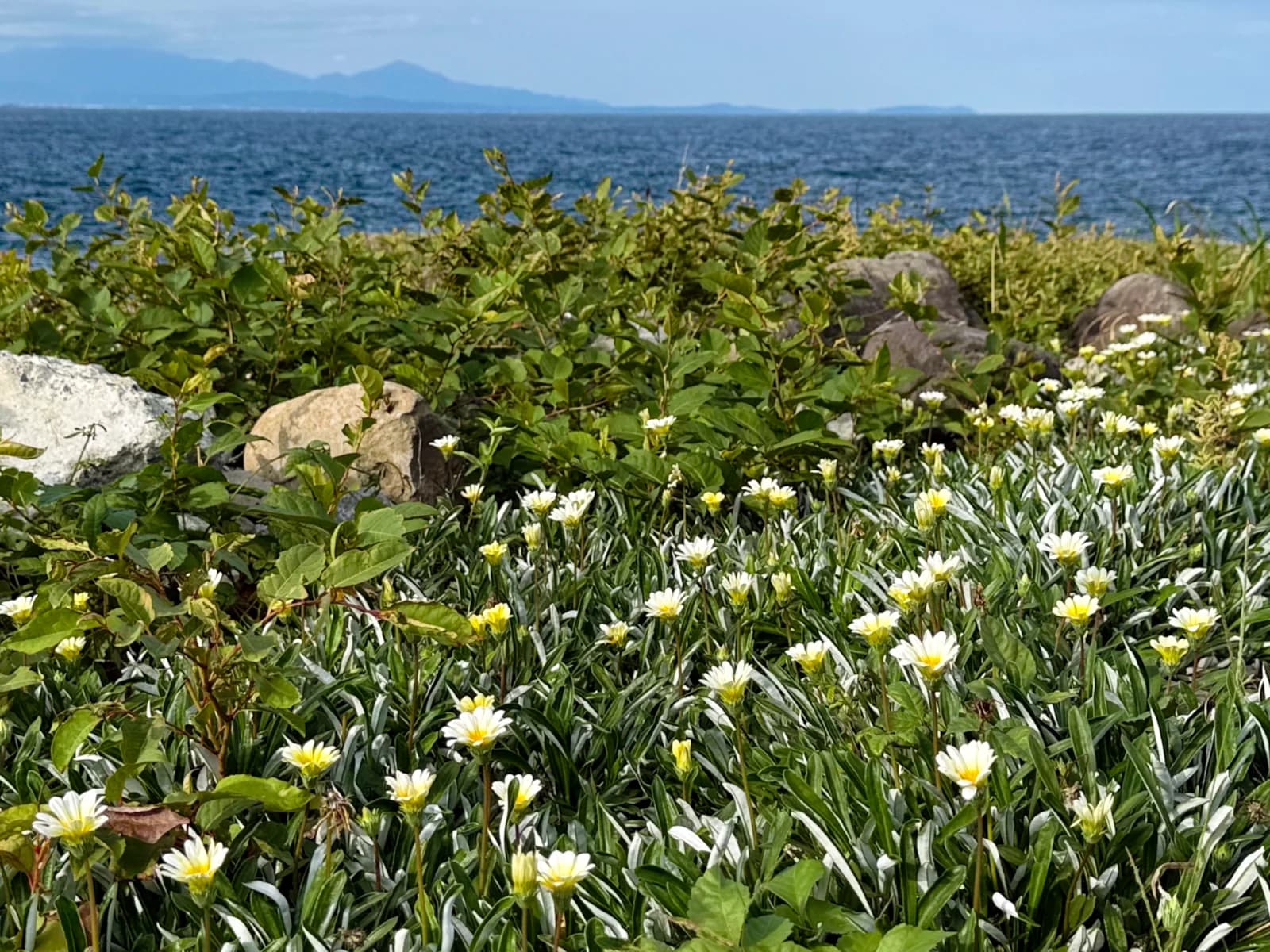 Hatsushima | 初島 photo 58