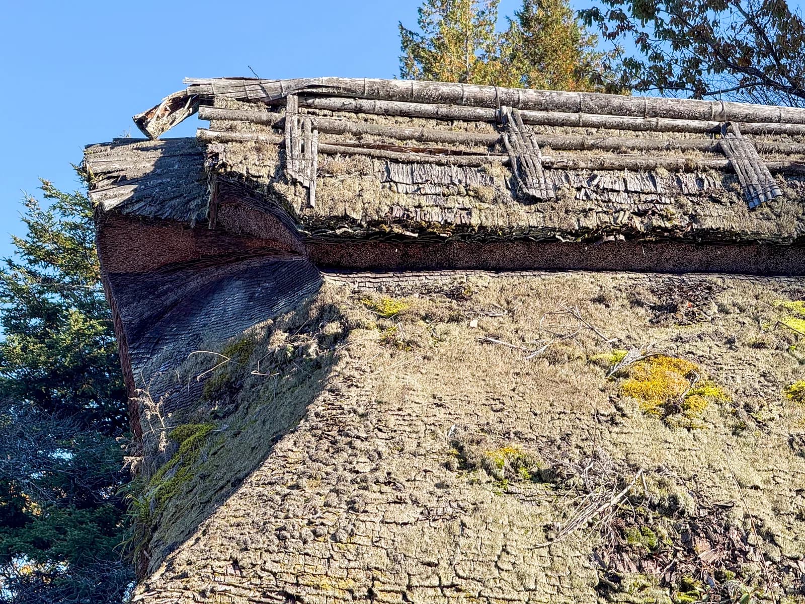 Kotokuji Temple | 廣徳寺 photo 48