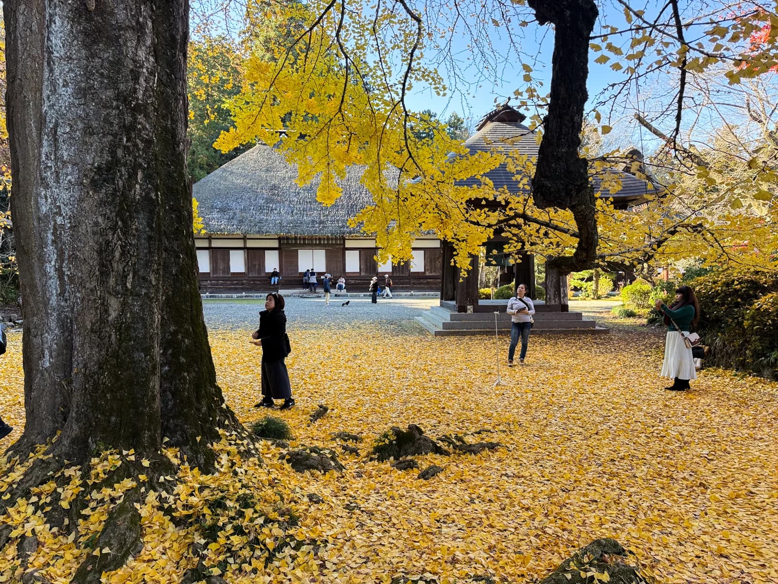 Kotokuji Temple | 廣徳寺 photo 43