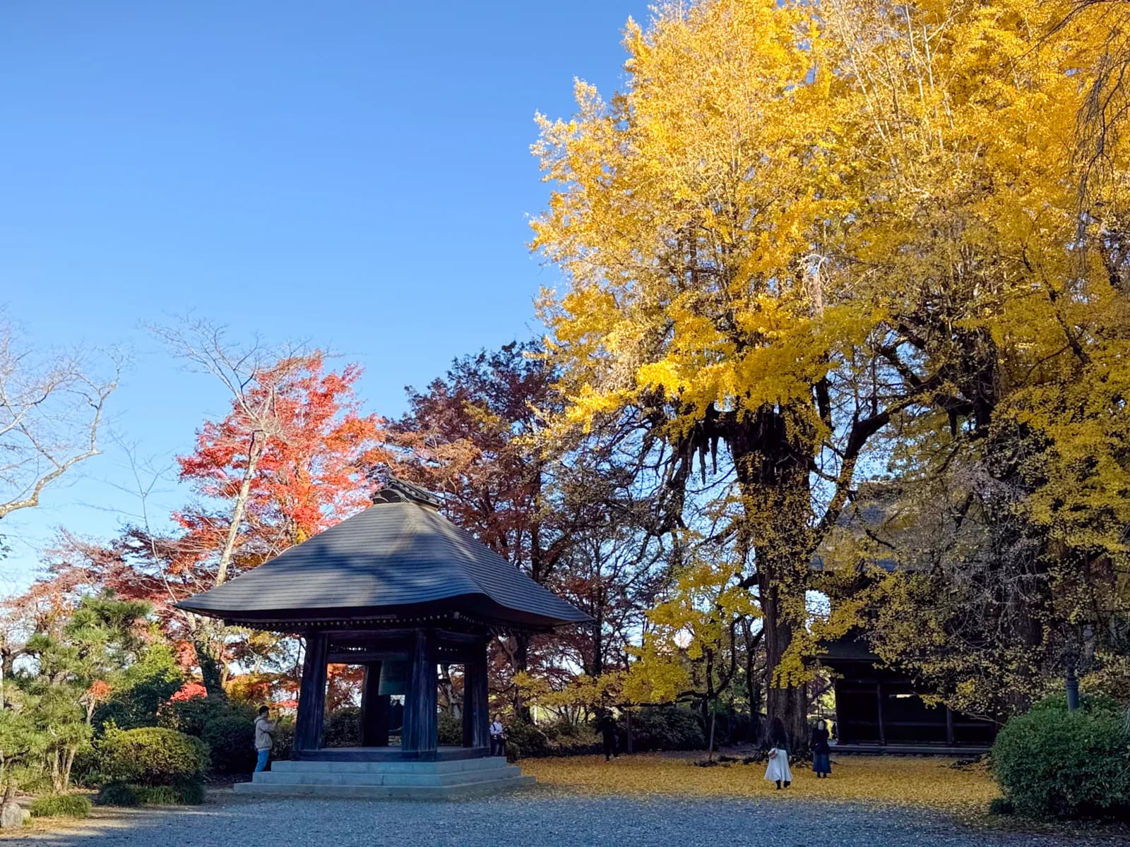 Kotokuji Temple | 廣徳寺 photo 39