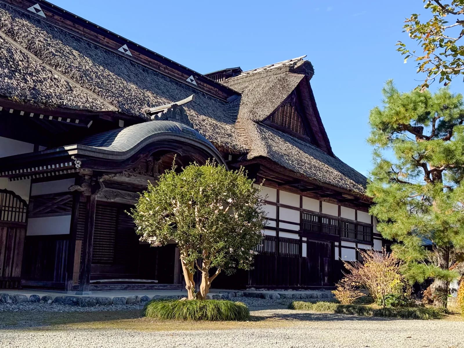 Kotokuji Temple | 廣徳寺 photo 37